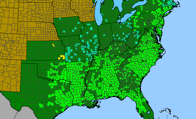 The range of Lonicera sempervirens